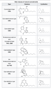 Detailed Cannabis Plant Chemical Compounds