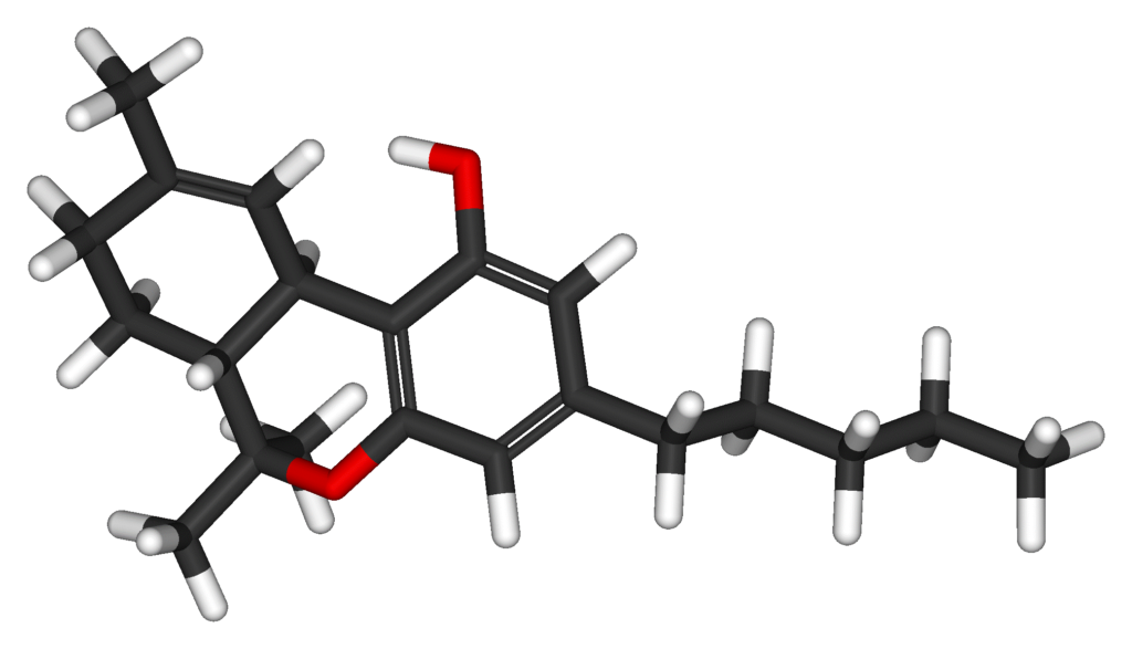 Cannabinoids and You: A Crash Course On What's Inside Cannabis