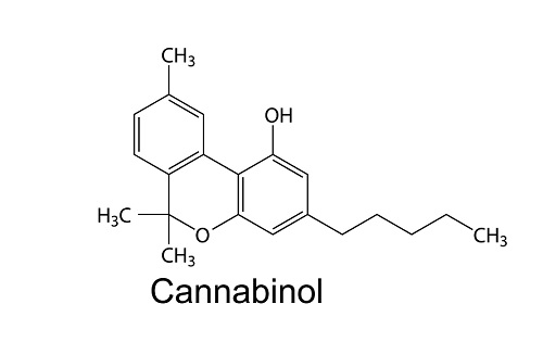 How THC and CBN Benefit the Body on a Scientific Level