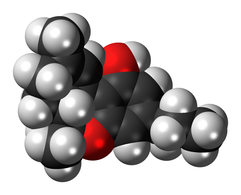 Cannabinoids and You: A Crash Course On What's Inside Cannabis