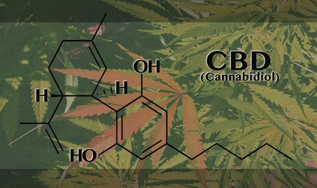 Cannabinoids and You: A Crash Course On What's Inside Cannabis