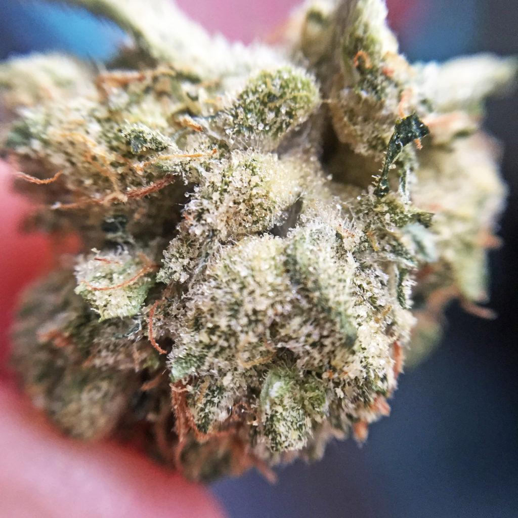 Know Your Weed Game: Asian Bubba Flower | California Weed Blog