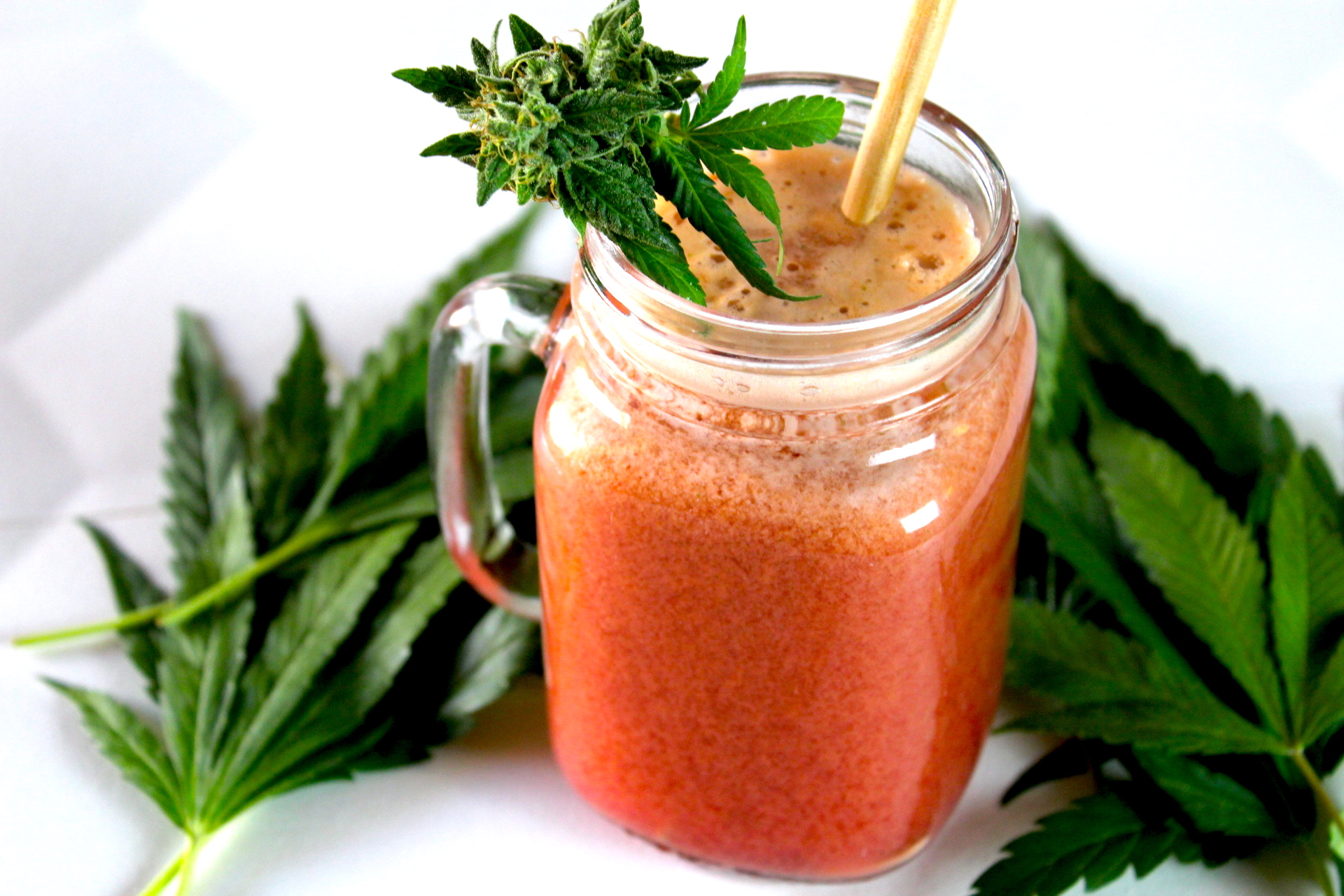 Prickly Punch Raw Cannabis Juice Cleanse