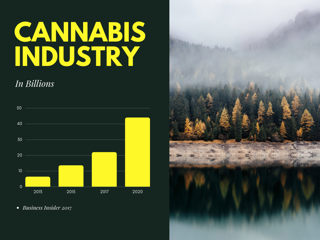 Cannabis Industry growth chart graph