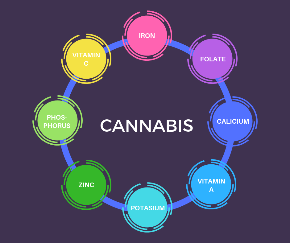 Cannabis Nutritional Information Infographic