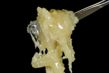 Rosin made from cannabis using a heat press