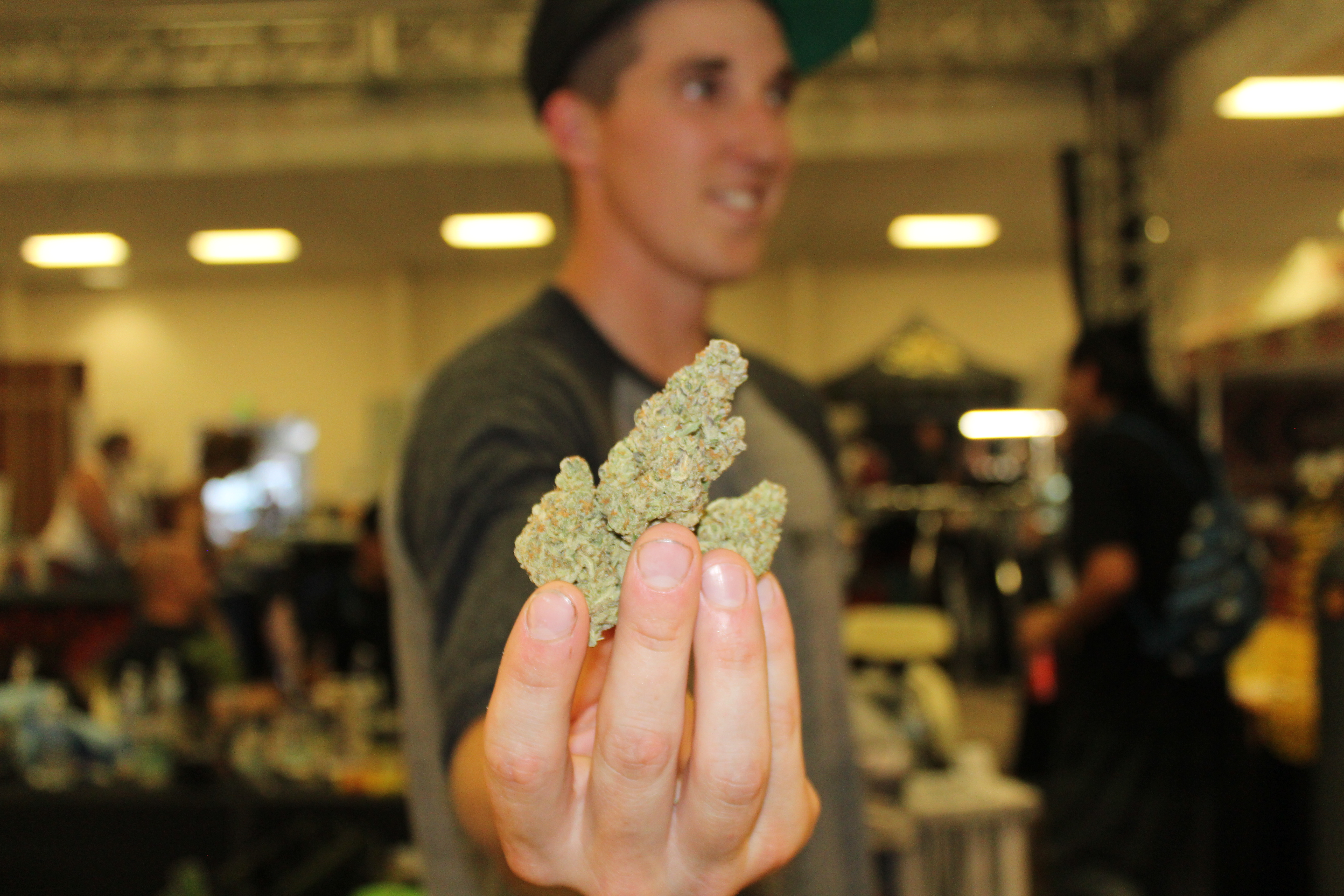 Cannabis nugs for sale at local sessions