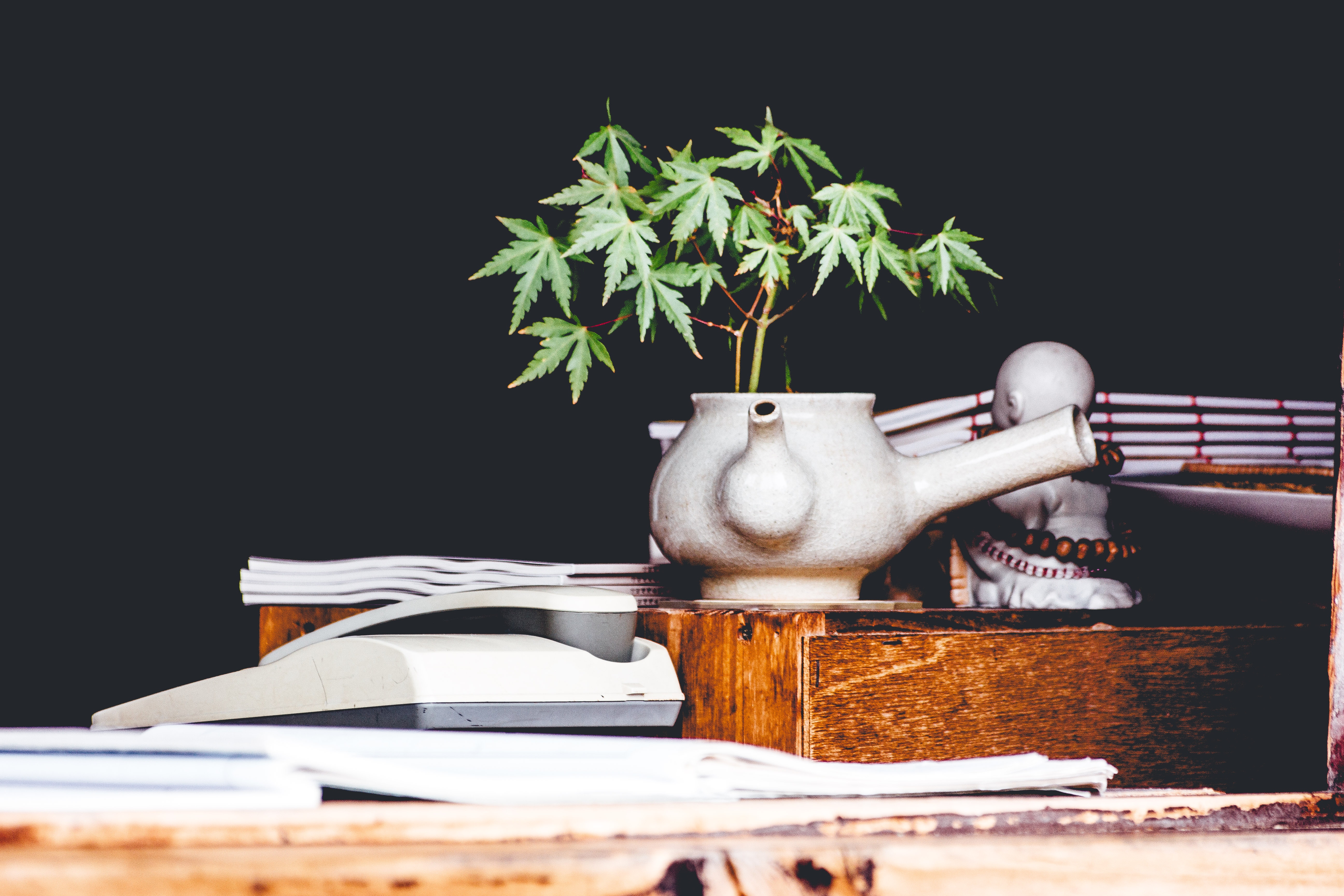 CBD infused coffee in white ceramic pot sitting on a table