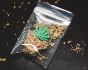 Bag of medicinal marijuana